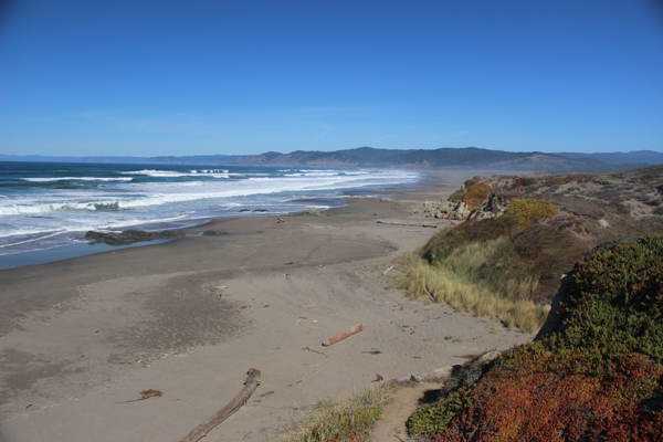 Ten Mile Dunes Preserve, MacKerricher State Park